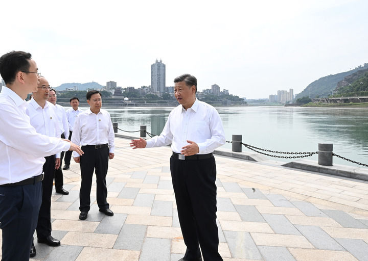 鏡觀·領航丨習近平：統(tǒng)籌山水林田湖草沙系統(tǒng)治理
