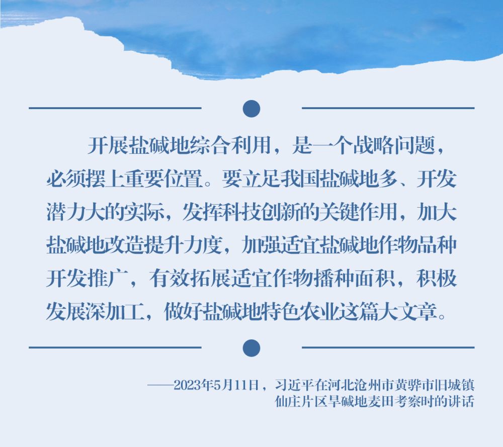 鏡觀·領航丨習近平：統(tǒng)籌山水林田湖草沙系統(tǒng)治理