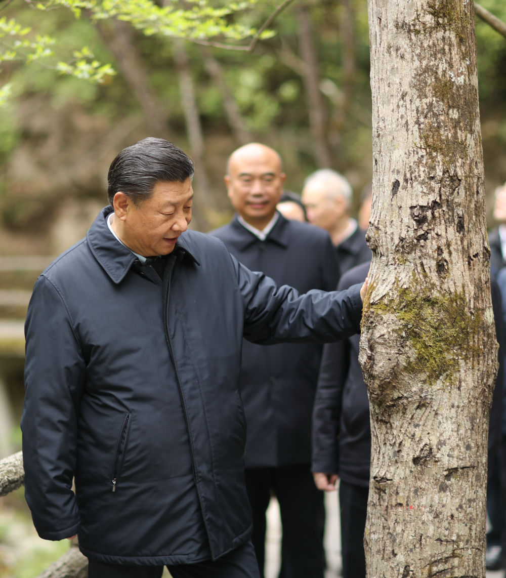鏡觀·領航丨習近平：統(tǒng)籌山水林田湖草沙系統(tǒng)治理