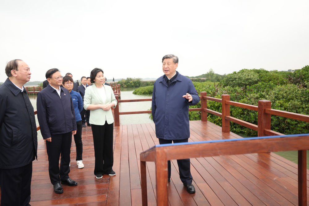 鏡觀·領航丨習近平：統(tǒng)籌山水林田湖草沙系統(tǒng)治理