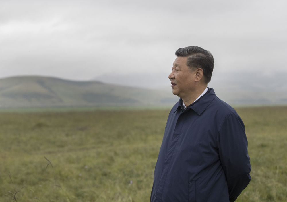 鏡觀·領航丨習近平：統(tǒng)籌山水林田湖草沙系統(tǒng)治理
