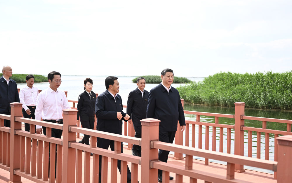 鏡觀·領航丨習近平：統(tǒng)籌山水林田湖草沙系統(tǒng)治理