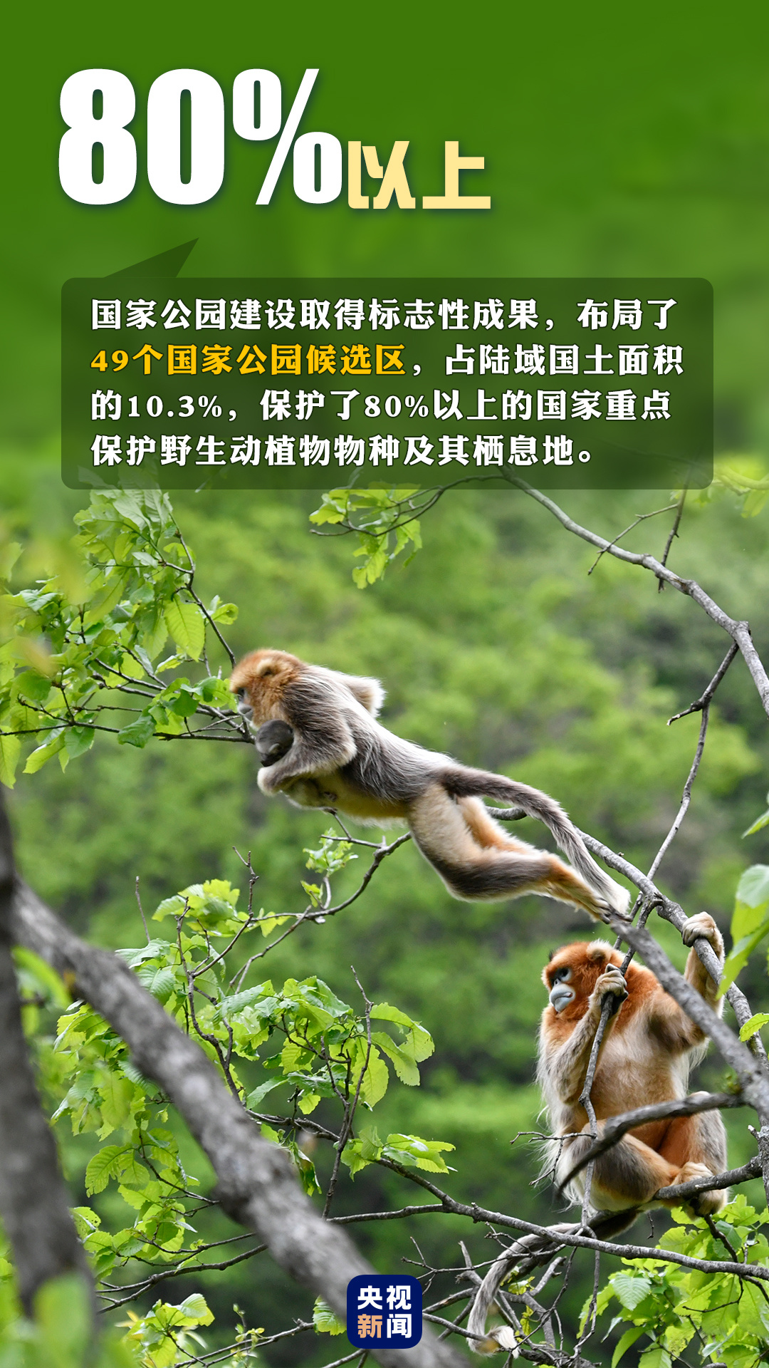 首個“全國生態(tài)日”來了！一組數(shù)據(jù)帶你看美麗中國新畫卷