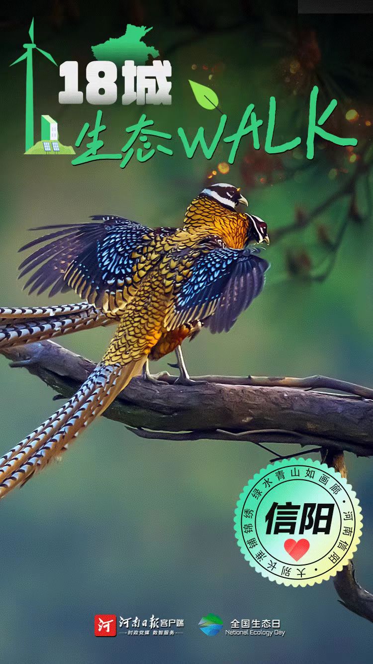 全國生態(tài)日丨“多巴胺”生態(tài)walk，這是你沒見過的河南