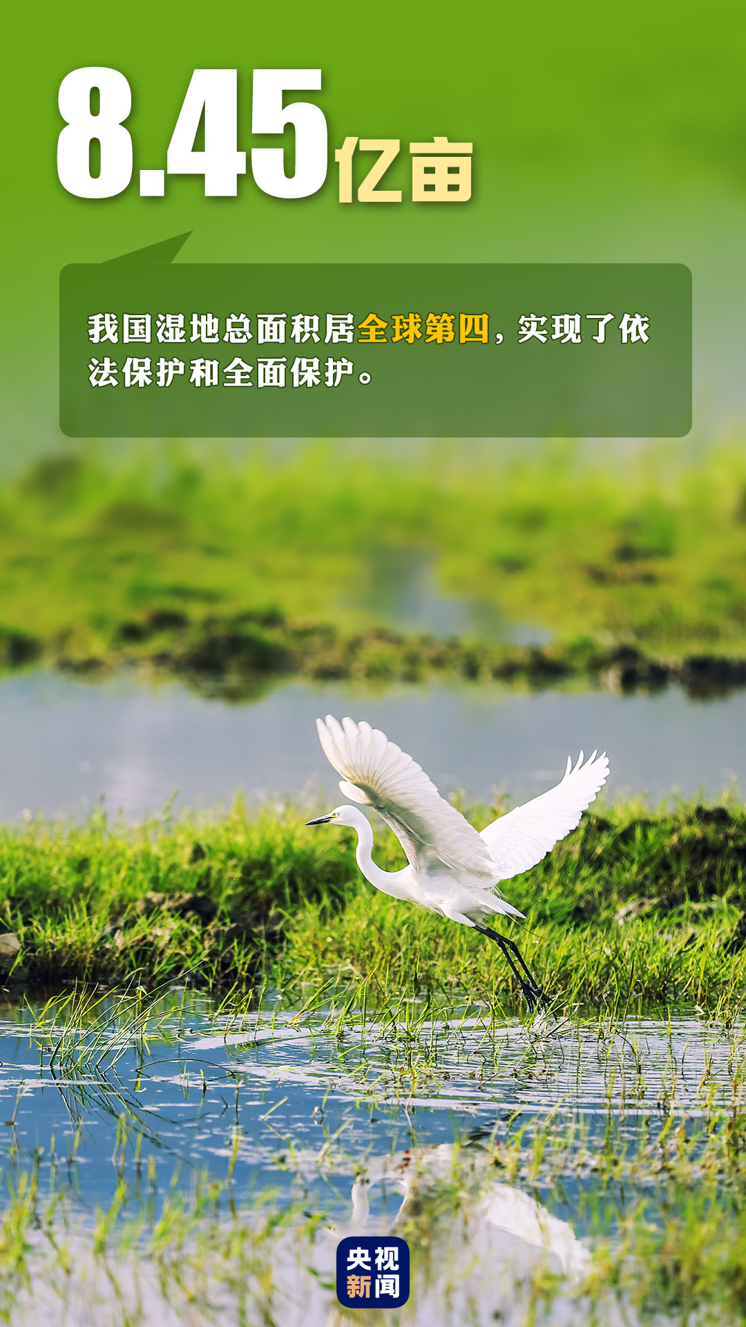 首個“全國生態(tài)日”來了！一組數(shù)據(jù)帶你看美麗中國新畫卷