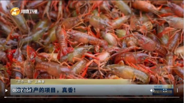 這次投產(chǎn)的項目，真香！| “三個一批”上新季