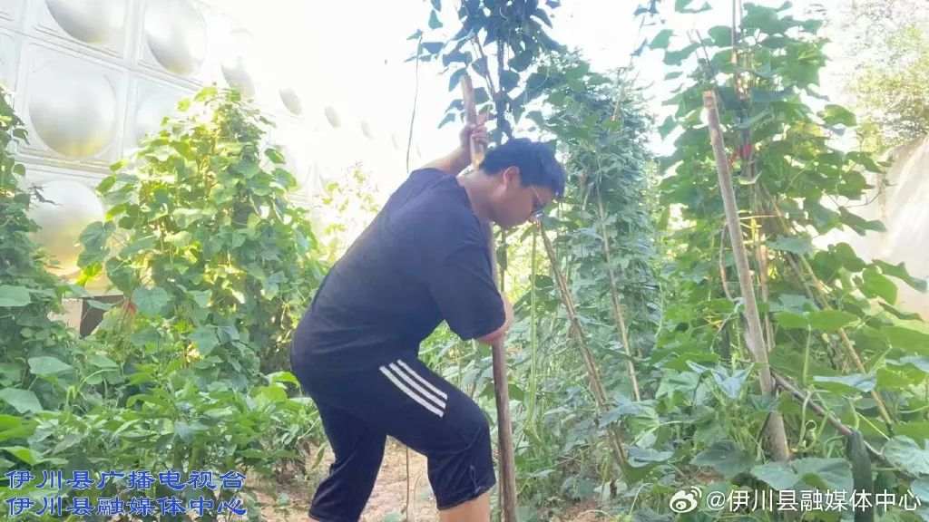 了不起！河南伊川這家敬老院里，走出個大學(xué)生