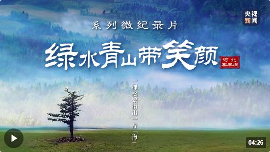 綠水青山帶笑顏丨一棵松繁衍出一片“?！? width=