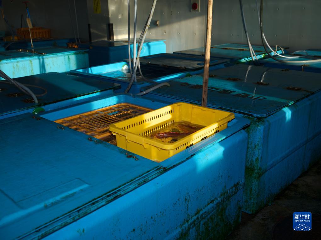 綜述：福島民眾反對日本政府決定啟動核污染水排海