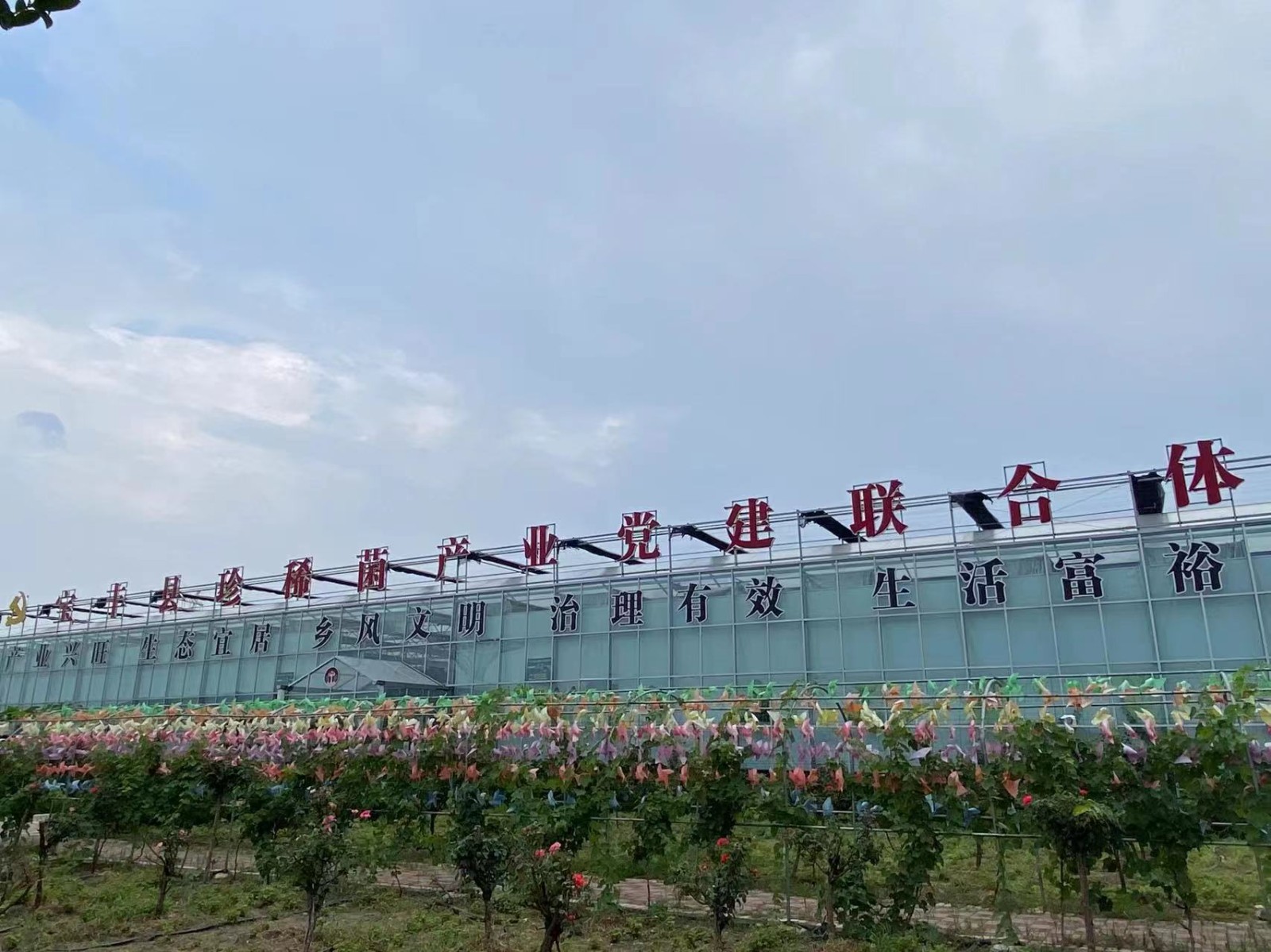 沿著南水北調(diào)中線看發(fā)展丨搬得出能致富！看河南各地“移民村”如何變身“宜民村”