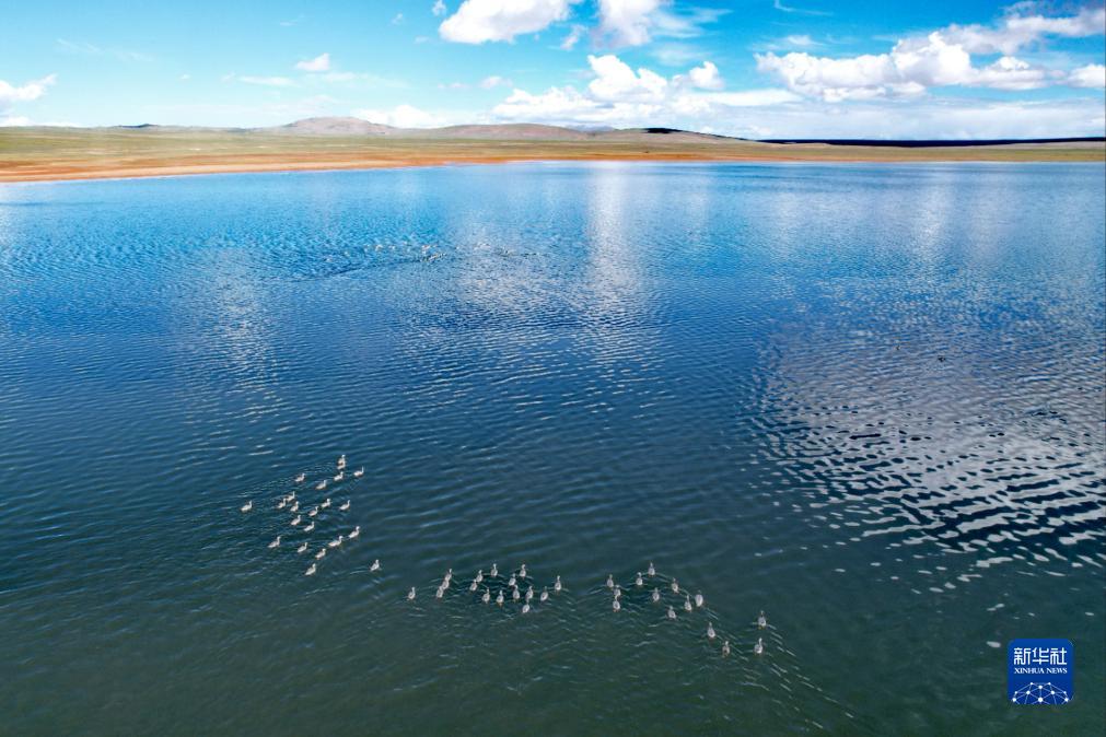 氣候變暖給長江源區(qū)生態(tài)環(huán)境帶來系列變化