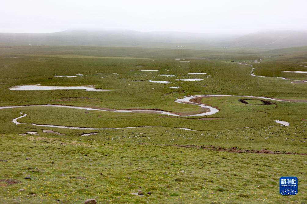 氣候變暖給長江源區(qū)生態(tài)環(huán)境帶來系列變化