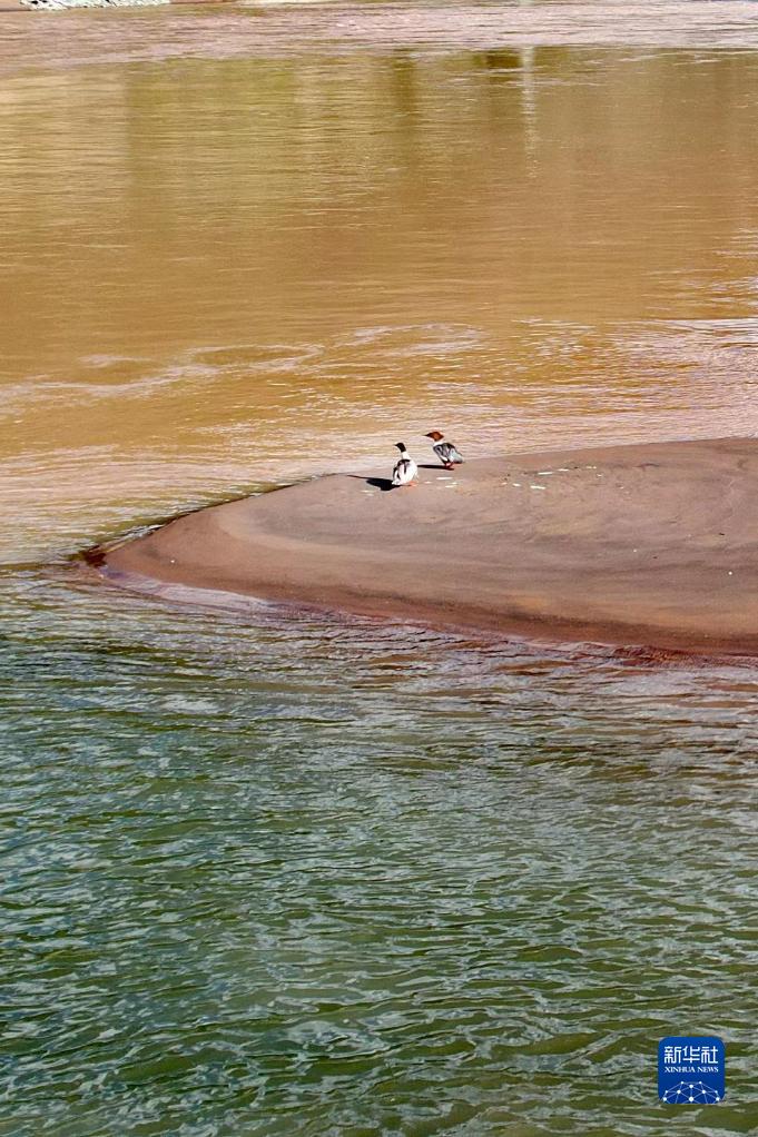 氣候變暖給長江源區(qū)生態(tài)環(huán)境帶來系列變化