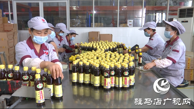 驛城區(qū)正道油業(yè)：借力農(nóng)加會，讓本土特產(chǎn)香飄四海