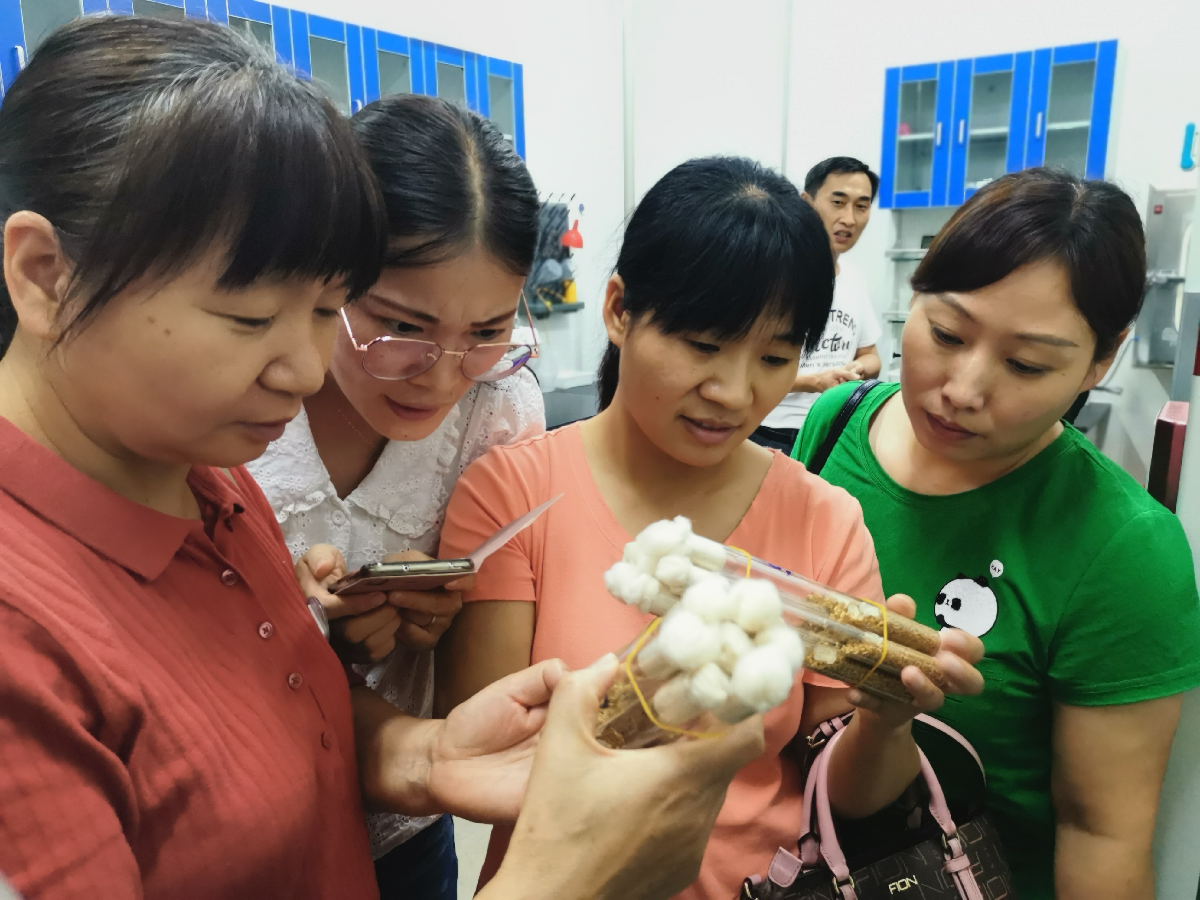創(chuàng)新河南 創(chuàng)出新彩|從0到1的堅守與突破——河南省食用菌產(chǎn)業(yè)技術體系發(fā)展歷程回顧