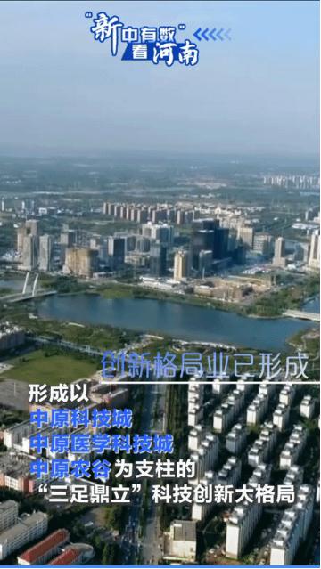 動海報(bào)丨“新中有數(shù)”看河南