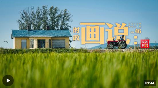 時(shí)政畫說(shuō)丨家園