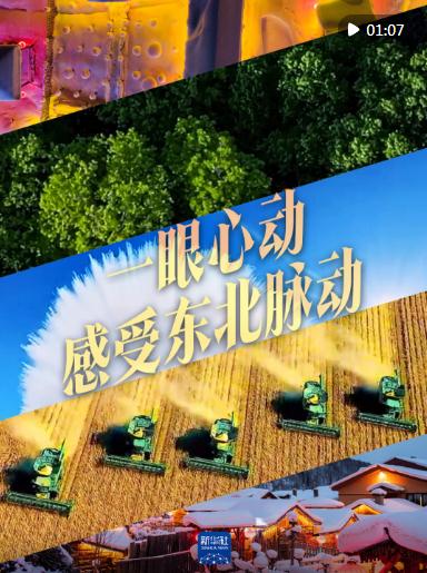 一眼心動，感受東北脈動