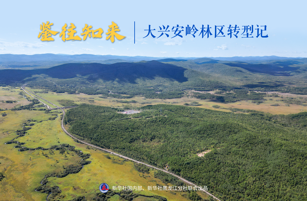 鑒往知來丨大興安嶺林區(qū)轉(zhuǎn)型記