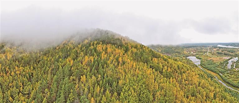 時政微觀察丨“增綠就是增優(yōu)勢、護(hù)林就是護(hù)財富”