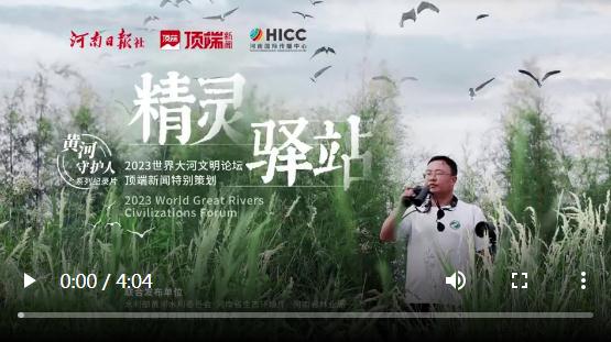 給15萬鳥兒看家護院！孟津黃河濕地有座“精靈驛站”丨黃河守護人④