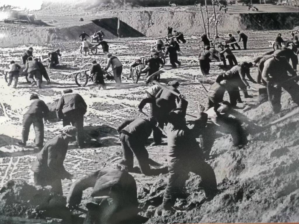 新時(shí)代新征程新偉業(yè)·習(xí)近平總書記關(guān)切事丨黃河之水天上來，奔流到此“青”幾許——黃河“幾字彎”生態(tài)治理一線故事
