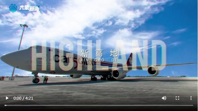 豫見國風 潮你所愛丨新時代 豫出彩