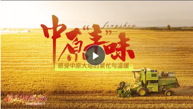 金秋稻花香！《中原“豐”味》描繪河南秋收畫卷