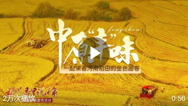 #河南被金色刷屏了#【金秋稻花香！《中原“豐”味》描繪河南秋收畫卷】秋風(fēng)拂面，金黃稻浪隨風(fēng)起舞，果實(shí)芳香彌漫空中。在這金秋大好時節(jié)，中原大地呈現(xiàn)出一派繁忙景象…… #稻花香里說豐年# 大河網(wǎng)的微博視頻