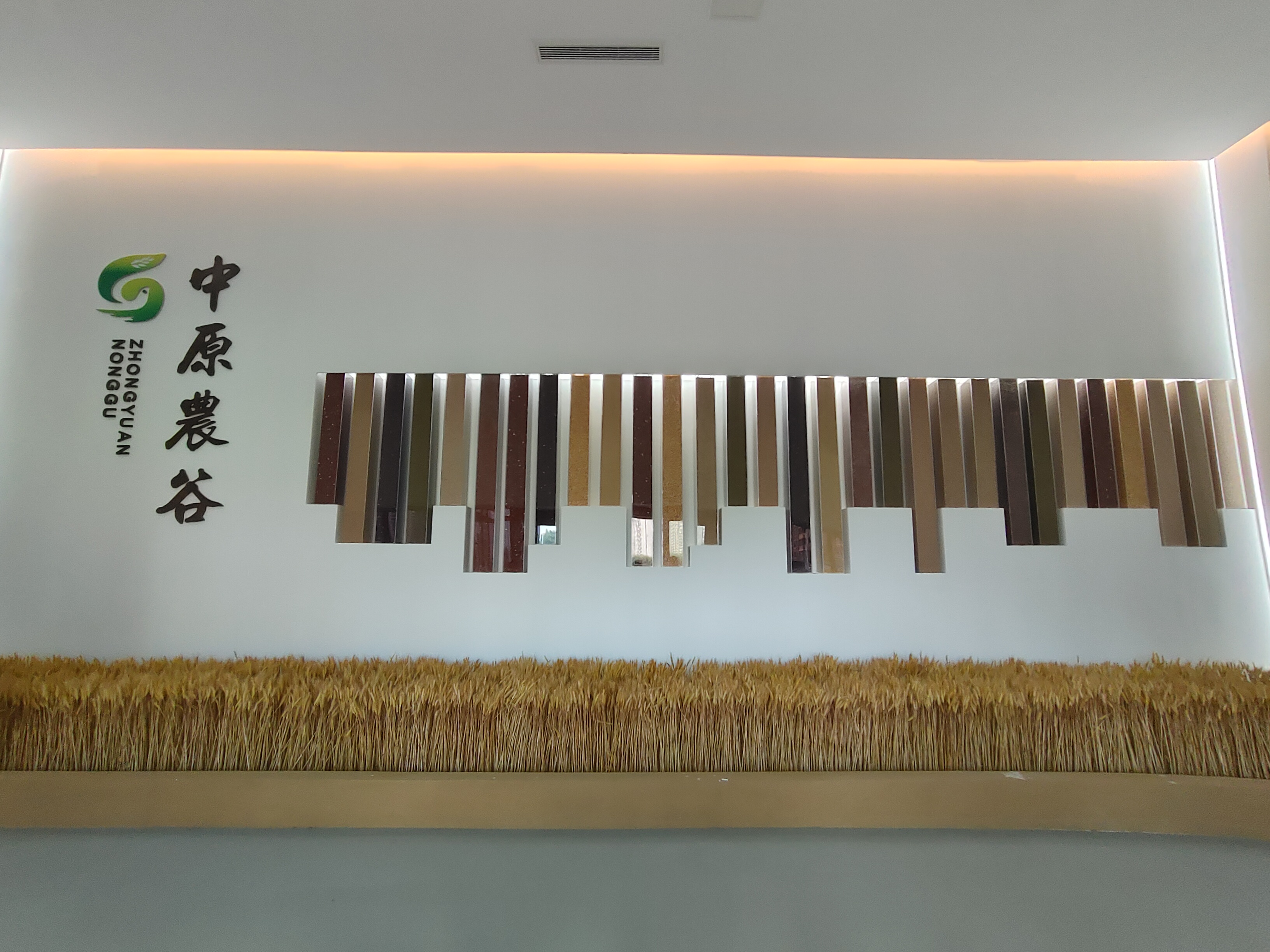 數(shù)智賦能新鄉(xiāng)造，看新鄉(xiāng)如何打響產(chǎn)業(yè)轉(zhuǎn)型新名片