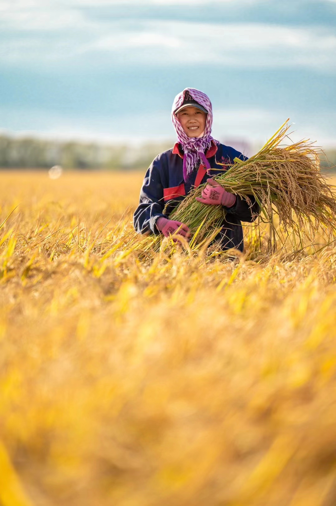 豐收之美|沿著總書記的足跡看龍江