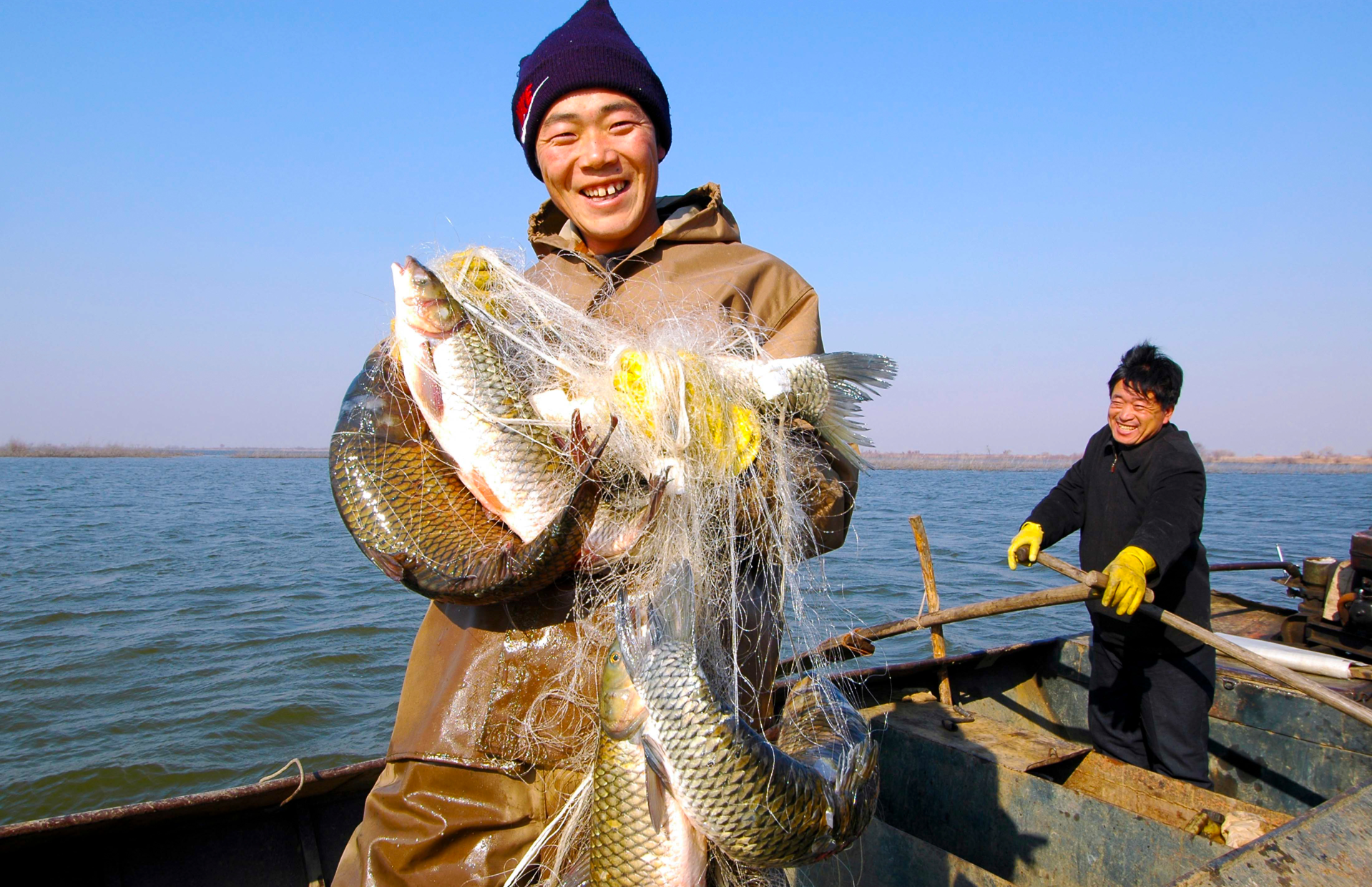 豐收之美|沿著總書記的足跡看龍江