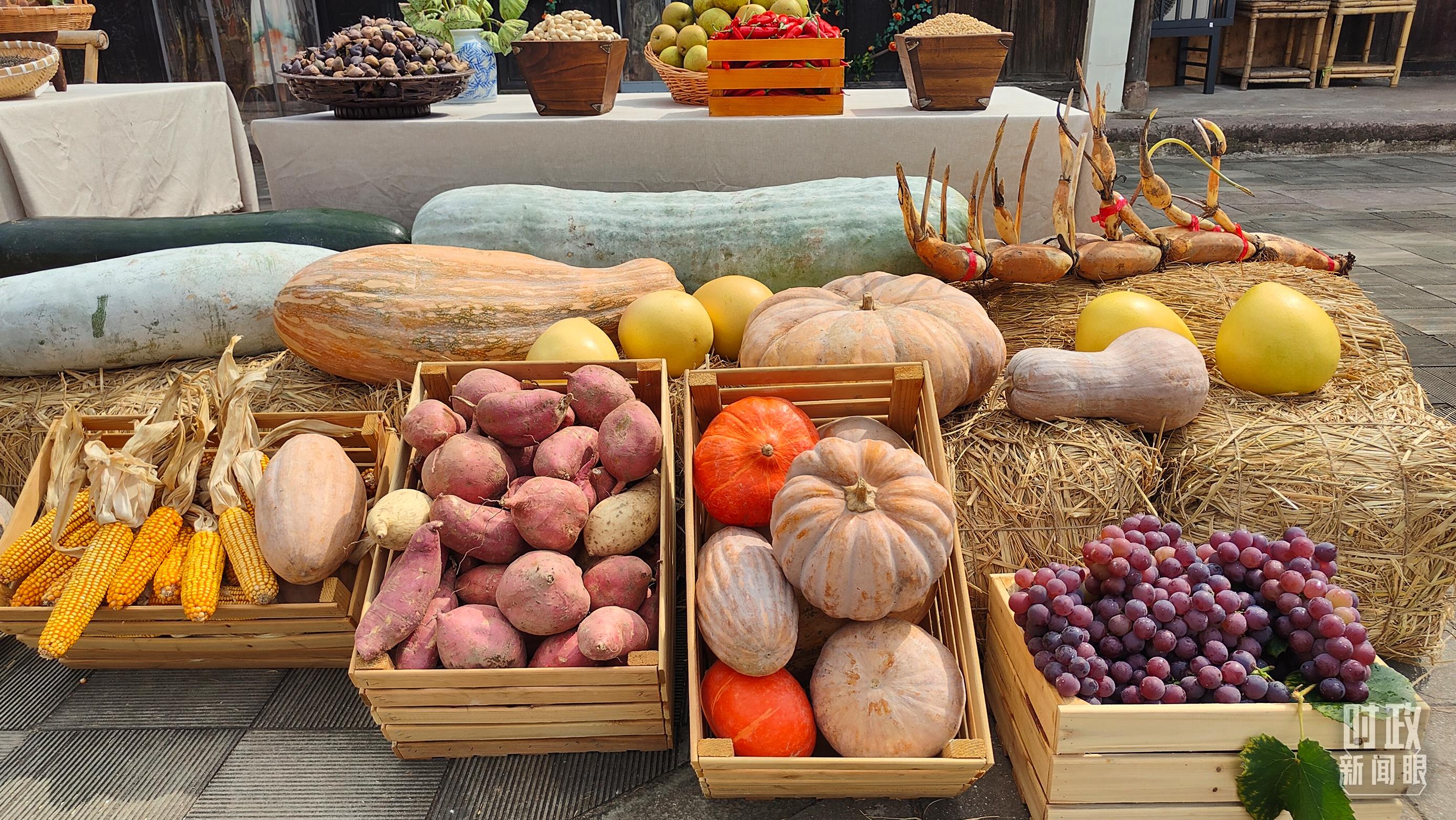 時(shí)政新聞眼丨杭州亞運(yùn)會(huì)開(kāi)幕前夕，習(xí)近平赴浙江考察