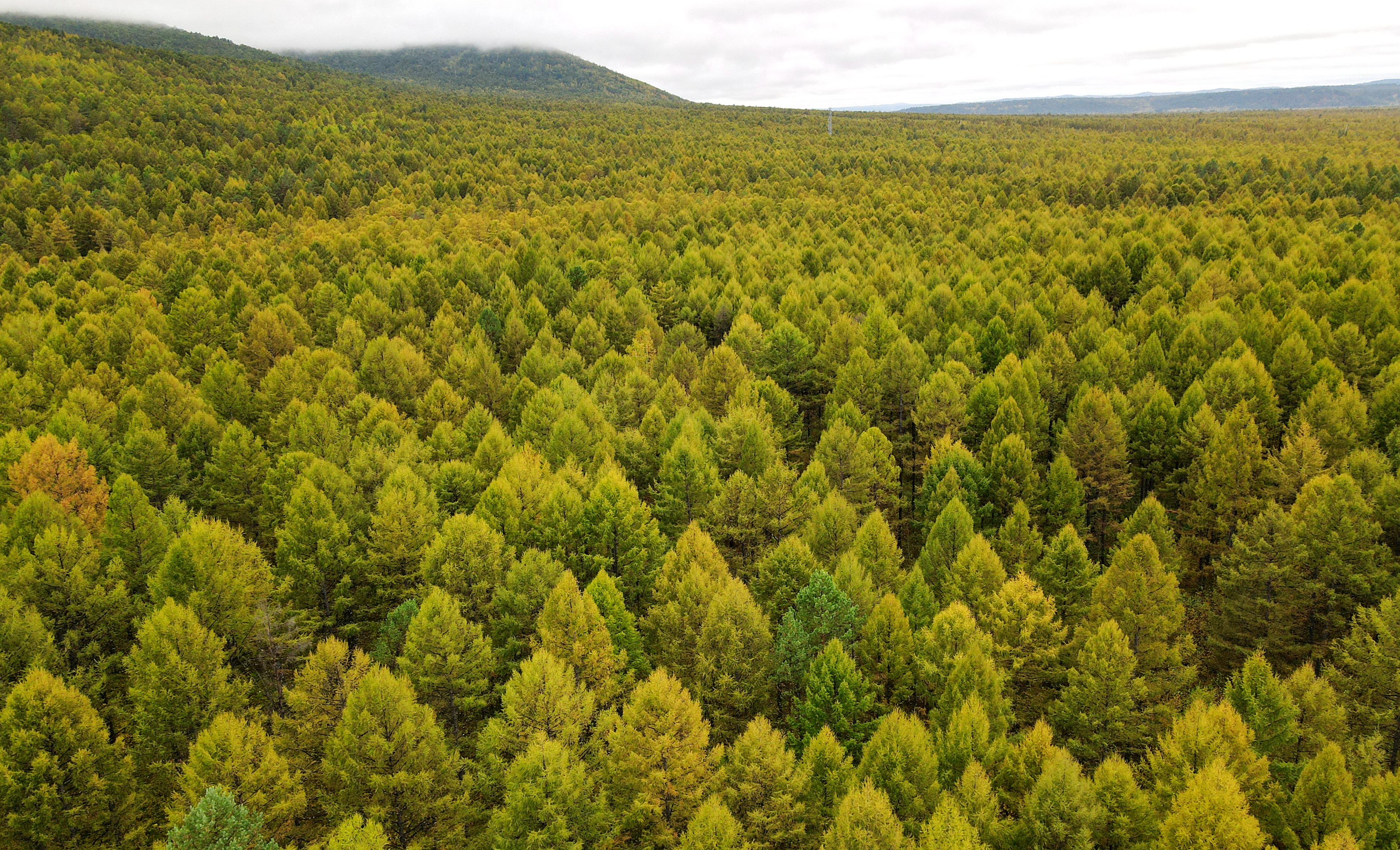 豐收之美|沿著總書記的足跡看龍江