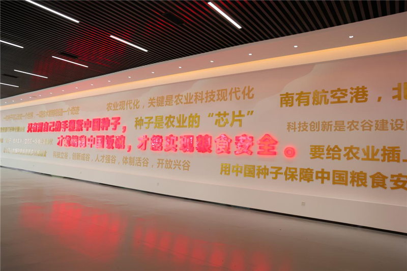 河南新鄉(xiāng)：中原農(nóng)業(yè)強(qiáng)勢(shì)崛起 鑄就中國“糧食長(zhǎng)城”