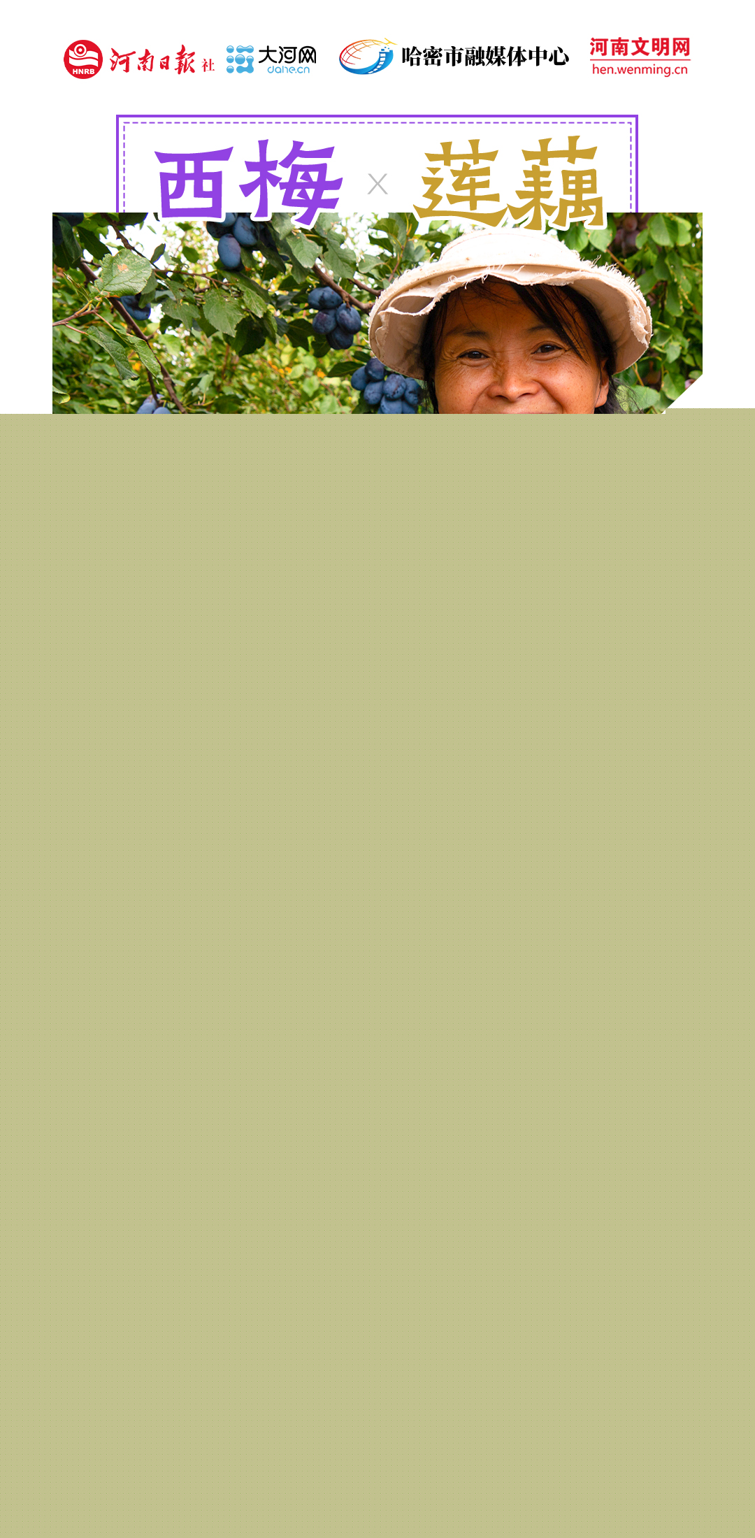 稻花香里說豐年丨豫哈“豐”景 平分秋色