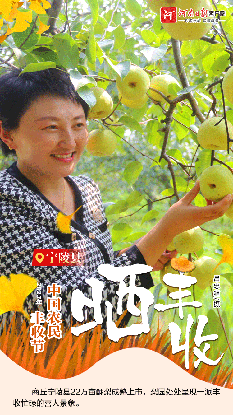 海報(bào) | 豐收節(jié)，曬豐收?。ㄒ唬? /></p>
<p style=