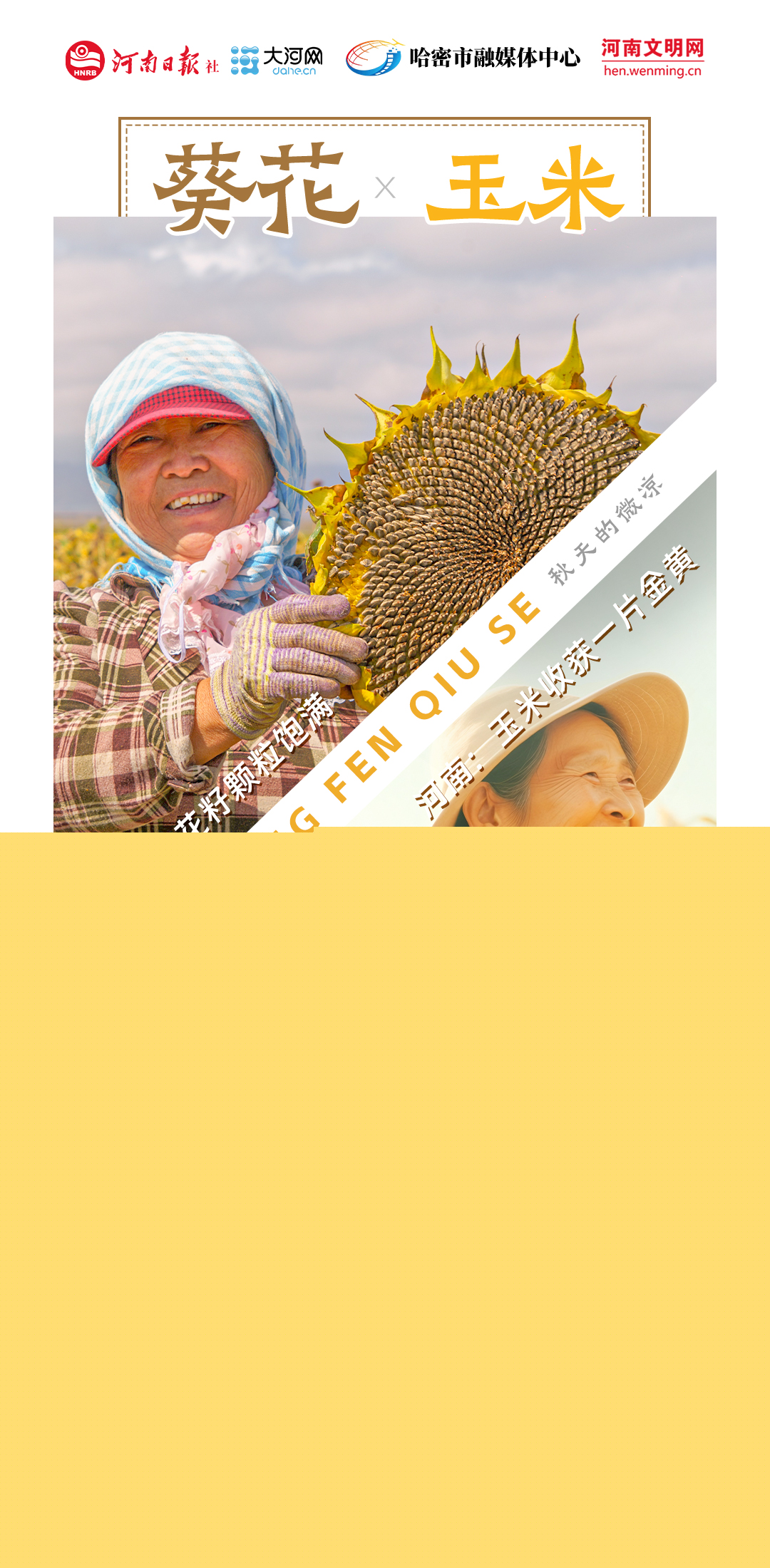 稻花香里說豐年丨豫哈“豐”景 平分秋色