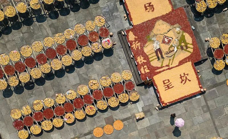 豐收之美｜“農(nóng)，天下之本”