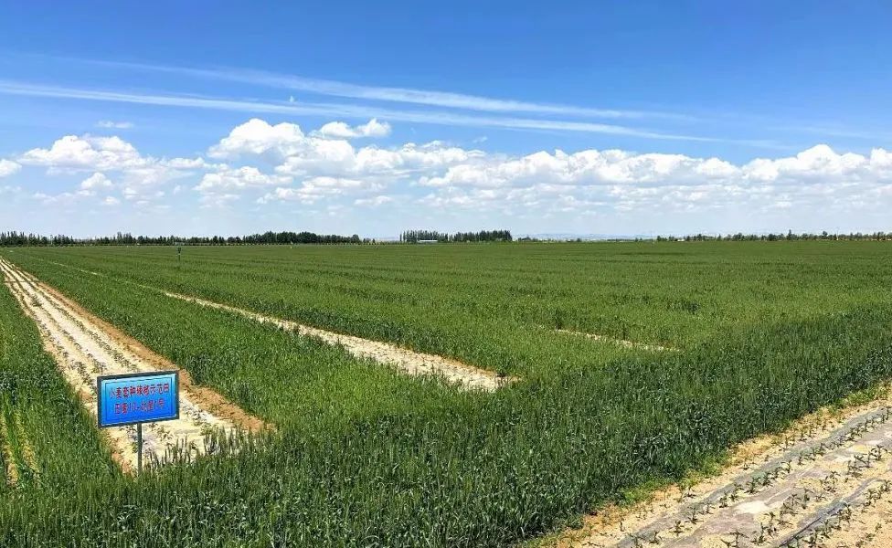 豐收之美｜“農(nóng)，天下之本”