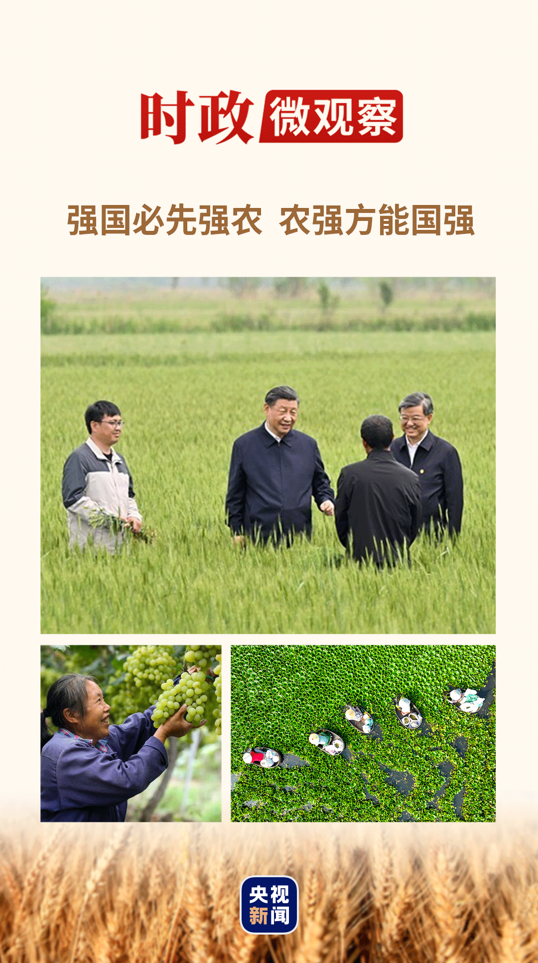 豐收之美｜“農(nóng)，天下之本”