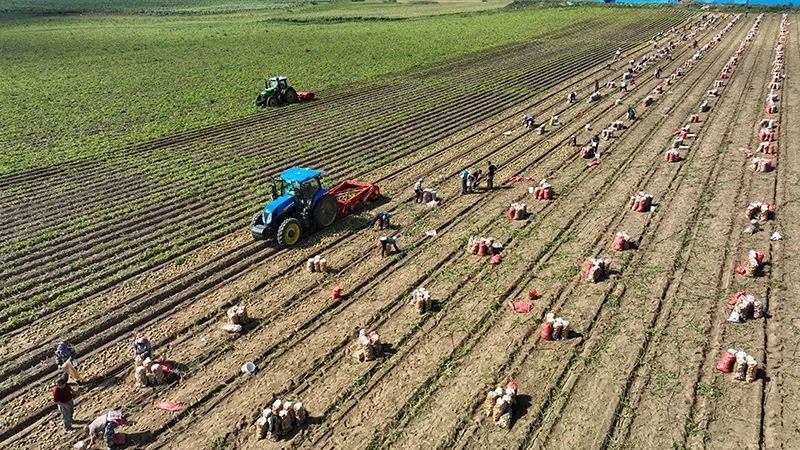 豐收之美｜“農(nóng)，天下之本”