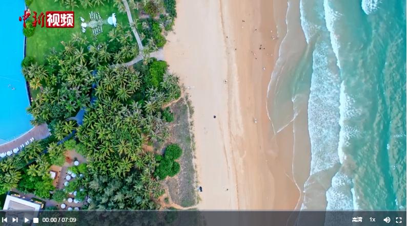 時政微視頻 | 鄉(xiāng)村振興要靠產(chǎn)業(yè)！習近平三次海南鄉(xiāng)村行