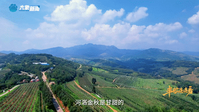 “國色天香”的河洛之地有多少美味？洛陽農(nóng)業(yè)農(nóng)村局局長帶你嘗美食賞美景！