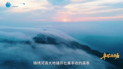 “國色天香”的河洛之地有多少美味？洛陽農(nóng)業(yè)農(nóng)村局局長帶你嘗美食賞美景！