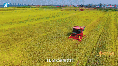 “國色天香”的河洛之地有多少美味？洛陽農(nóng)業(yè)農(nóng)村局局長帶你嘗美食賞美景！