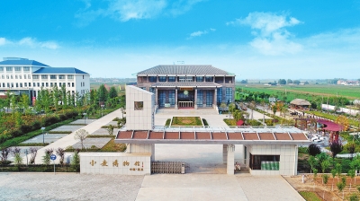 稻花香里說(shuō)豐年丨溫縣小麥博物館:小麥萬(wàn)年傳耕耘天地間