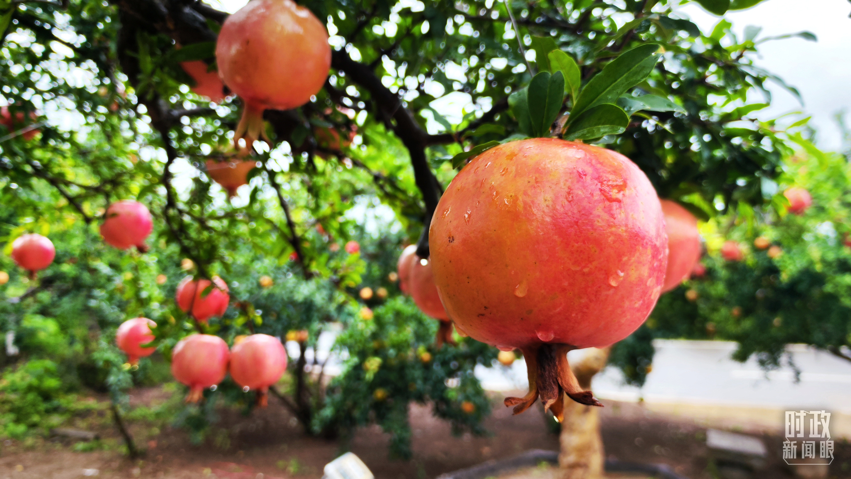 時(shí)政新聞眼丨從浙江到山東棗莊，習(xí)近平這一次考察重點(diǎn)強(qiáng)調(diào)了什么？