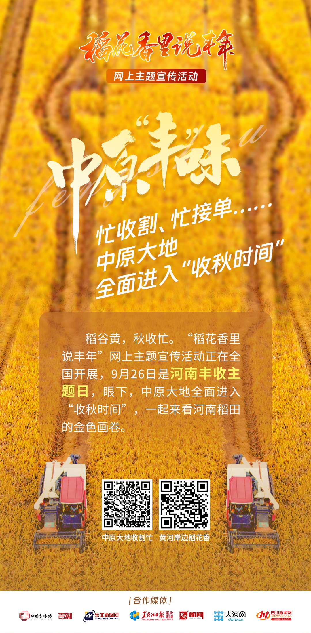 稻花香里說(shuō)豐年丨黃河岸邊稻花香 展開(kāi)美麗鄉(xiāng)村新畫(huà)卷