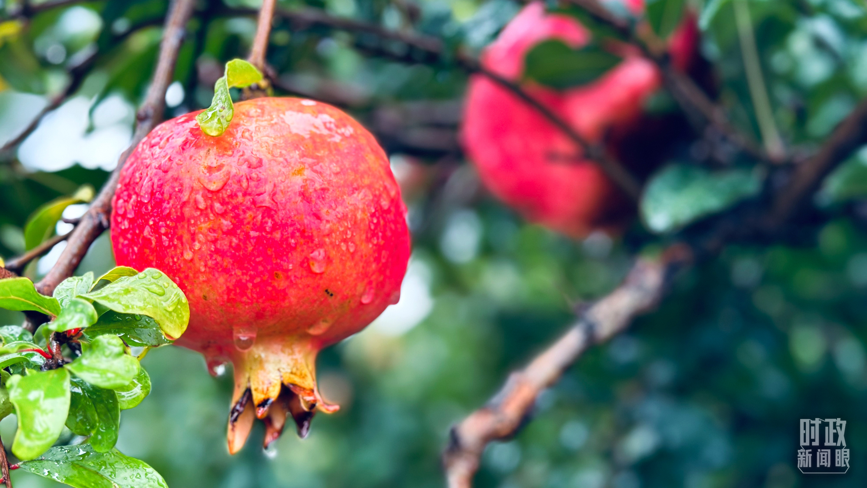 時(shí)政新聞眼丨從浙江到山東棗莊，習(xí)近平這一次考察重點(diǎn)強(qiáng)調(diào)了什么？
